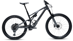 Specialized Stumpjumper EVO LTD