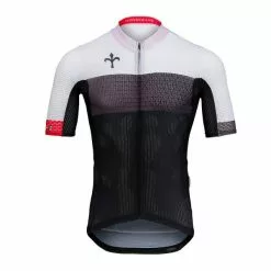 Radtrikot Wilier Aero Jersey | Starcycles.de